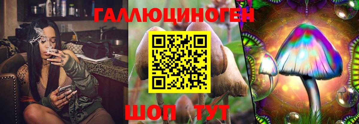 Галлюциногенные грибы ЛСД Вязники